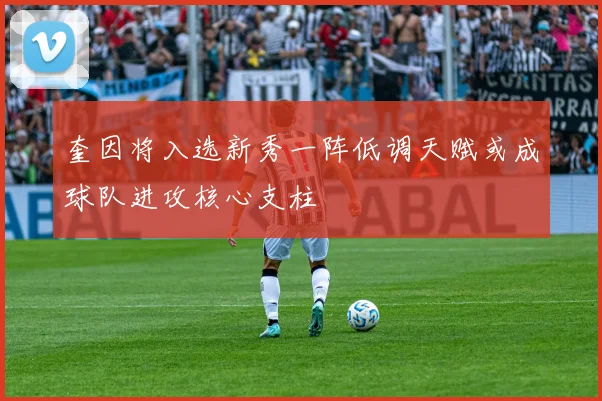 奎因将入选新秀一阵低调天赋或成球队进攻核心支柱