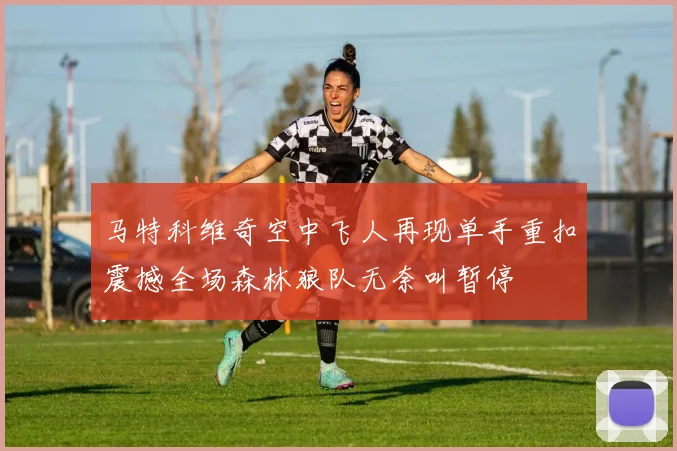 马特科维奇空中飞人再现单手重扣震撼全场森林狼队无奈叫暂停