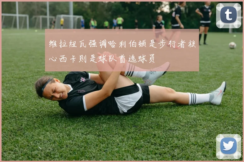 维拉纽瓦强调哈利伯顿是步行者核心西卡则是球队首选球员
