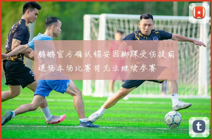 鹈鹕官方确认锡安因脚踝受伤提前退场本场比赛将无法继续参赛