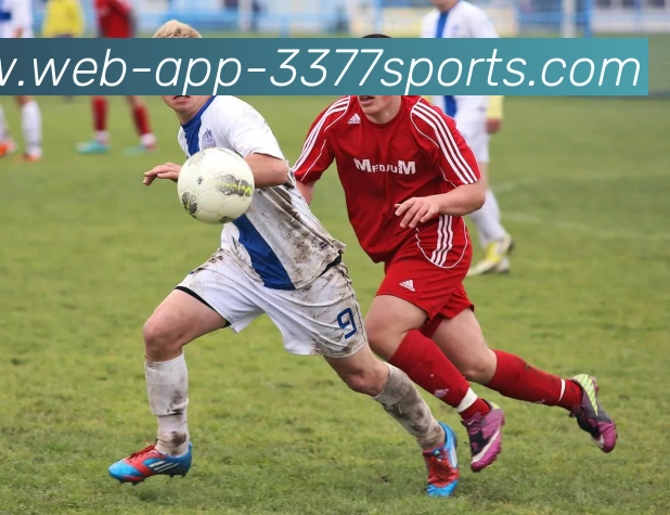 3377体育APP 高清赛事图